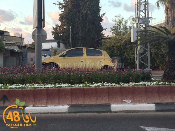 acc legyoema (2).jpg